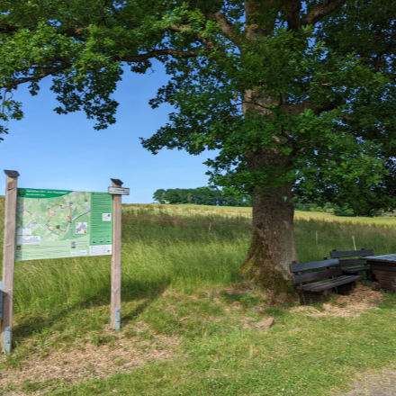 Neue Infotafel, Tisch und Bänke